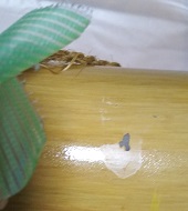 塗装剥がれ