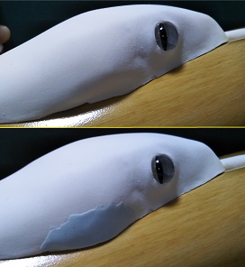 パテ埋め前後